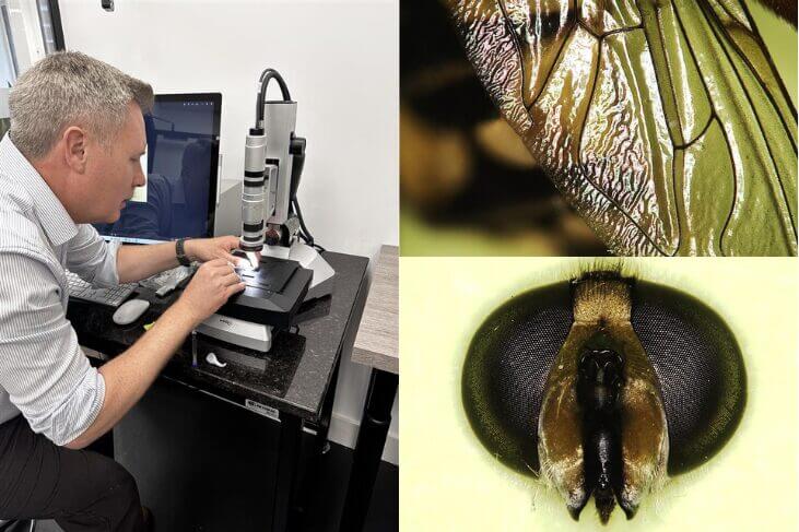 Adrian Ratte Demonstration