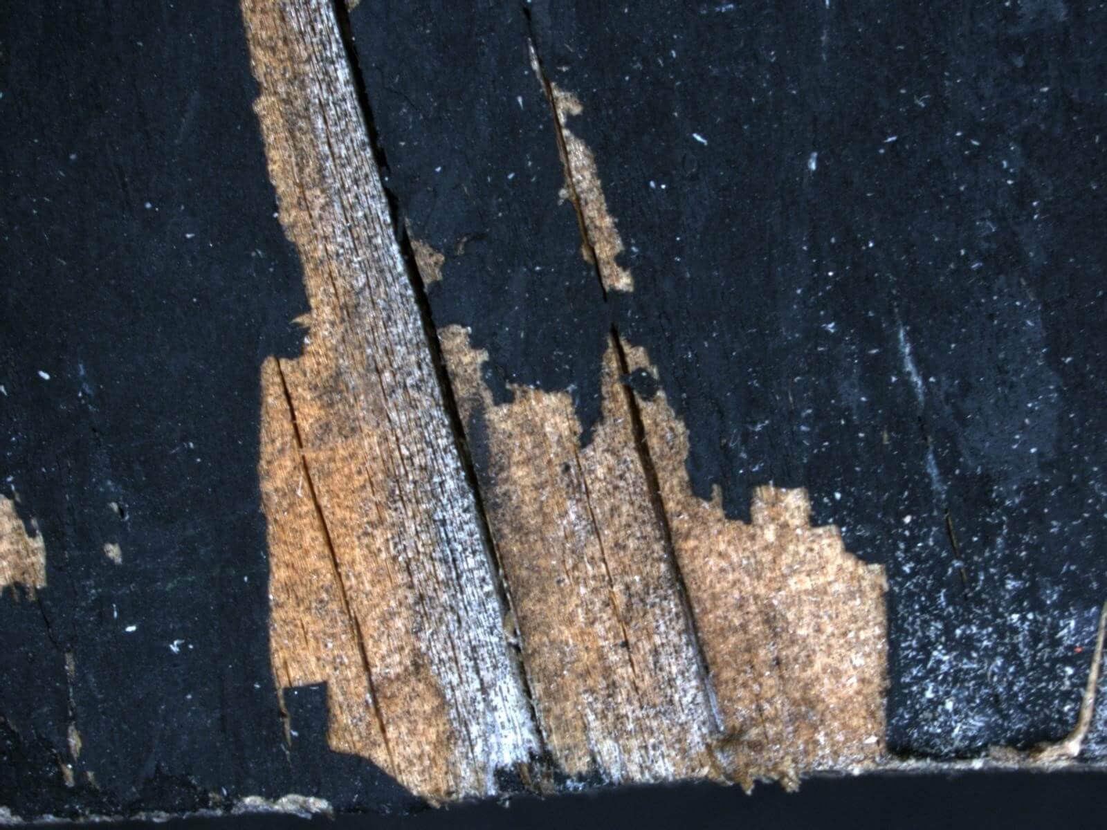 paint peeling from wooden material