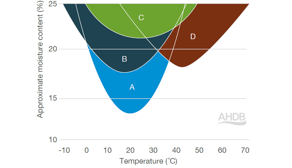 54165f74-3f0c-4418-8e51-73051f6e4349 54165f74-3f0c-4418-8e51-73051f6e4349